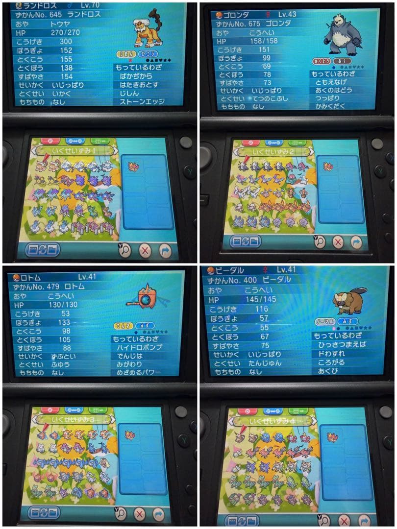 ポケモン アルファサファイア ソフト 配布 250体以上 育成済み200体以上