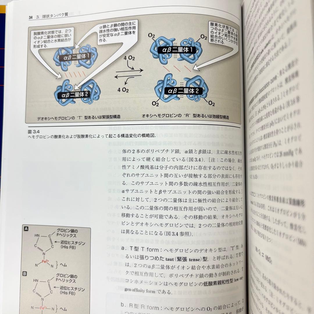 【新品未使用】イラストレイテッド生化学 原書7版