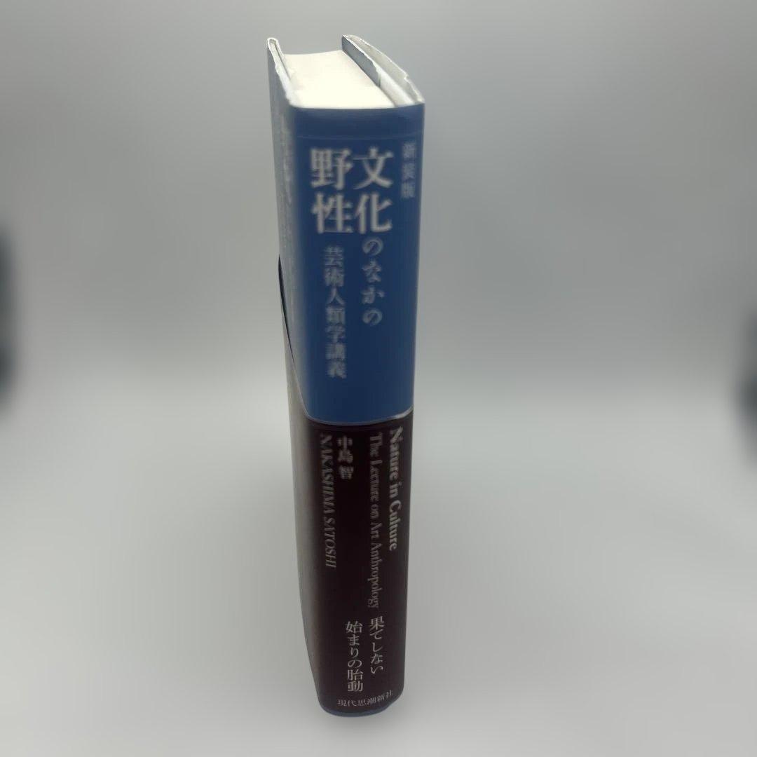 文化のなかの野性 : 芸術人類学講義