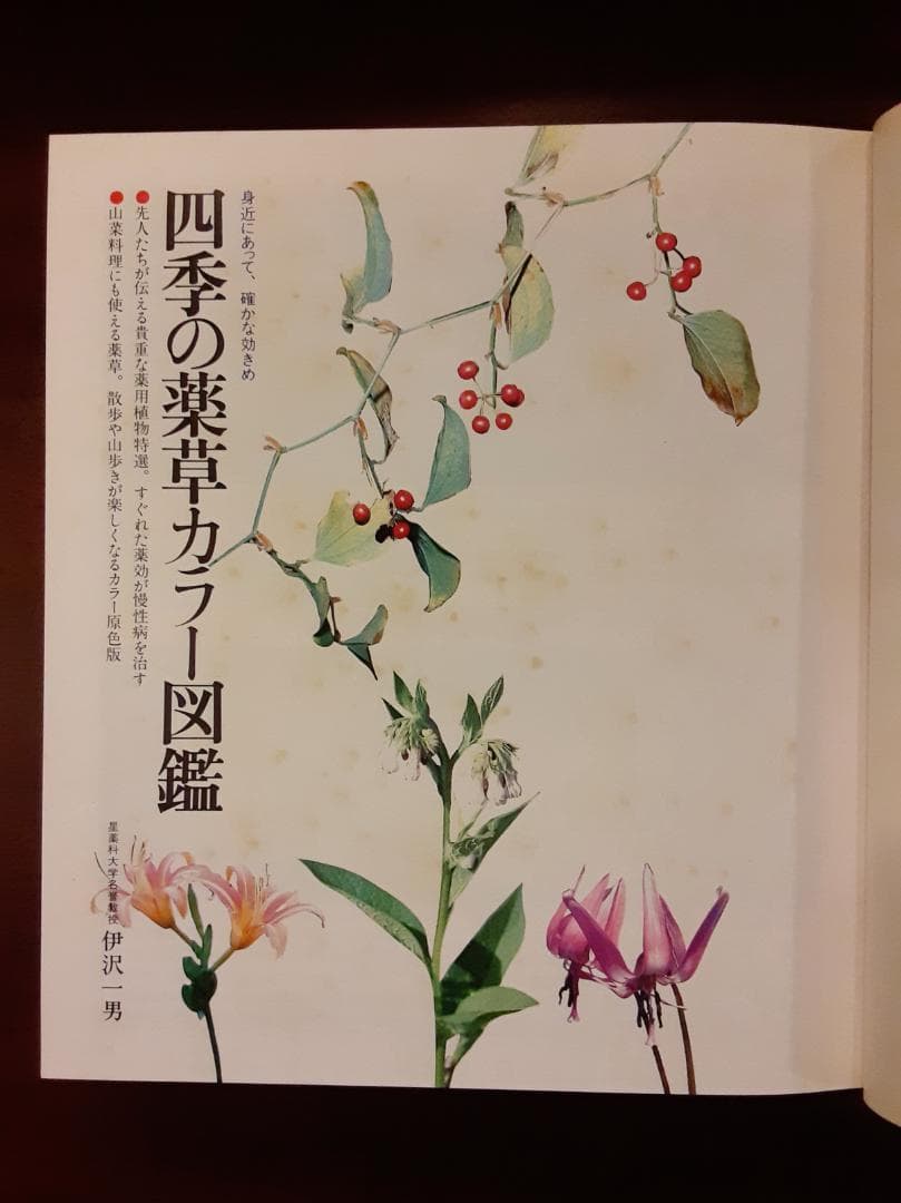 ACE 読む 書く 話す大事典 ＆ 現代 家庭療法百科　２冊セット