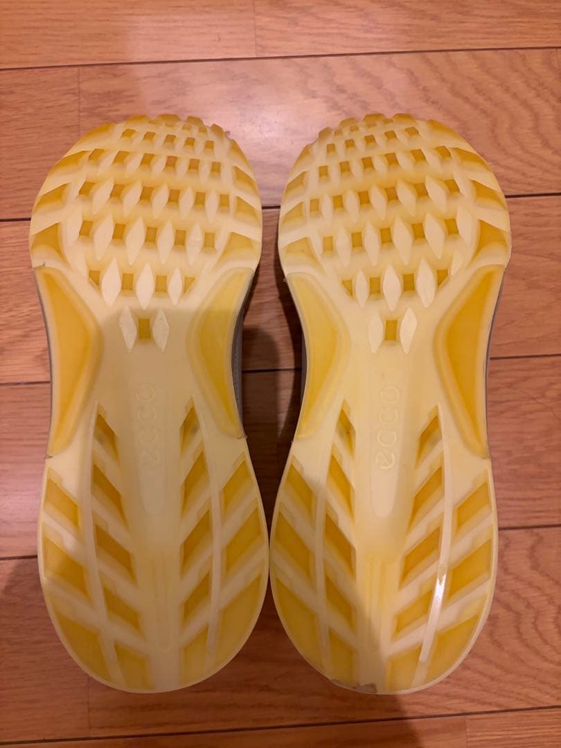 ecco バイオム C4 BIOM サイズ42