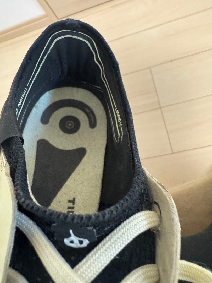 Nike ティエンポ9レジェンド　AG 26.0センチ