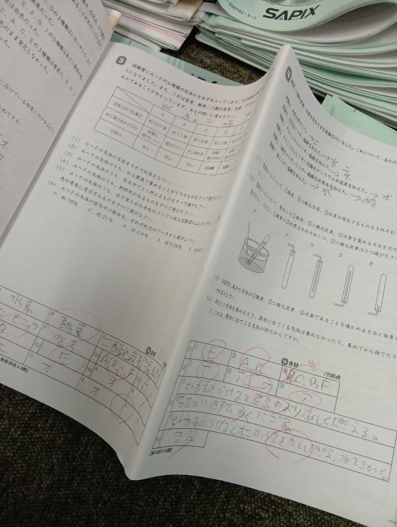 サピックス6年　開成対策/α/ 2026年受験　年間/WS /土特日特/冬期正月
