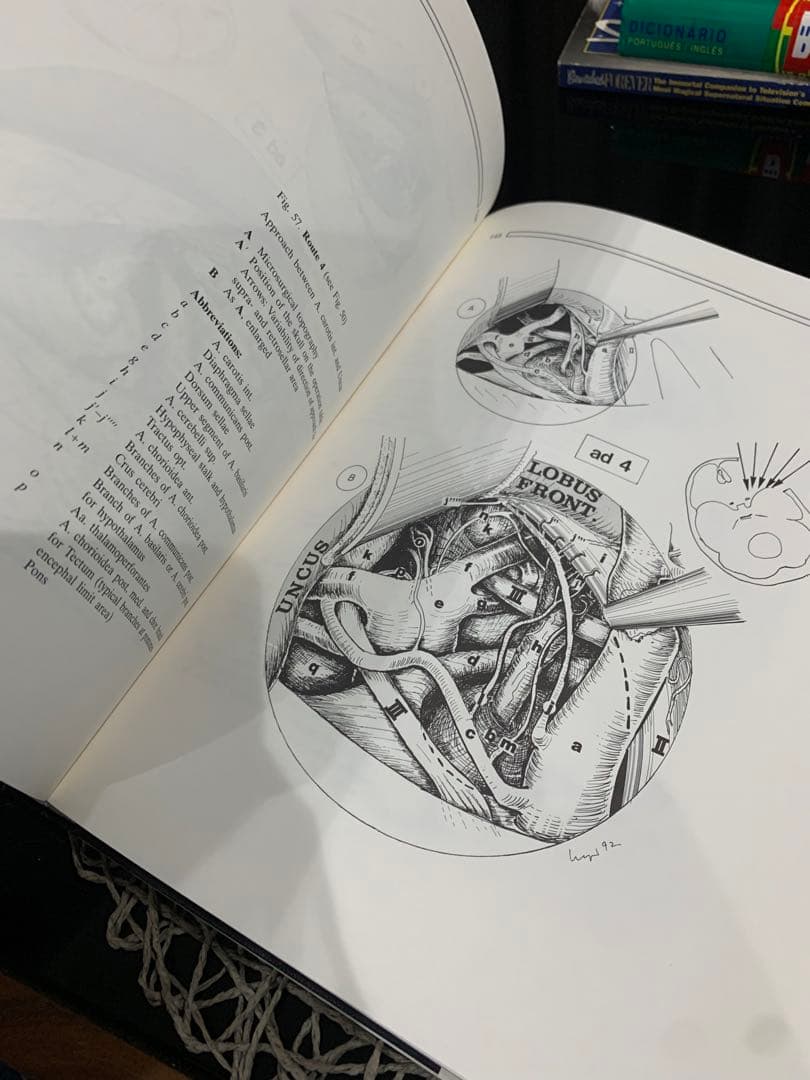 The Microsurgical Approaches…