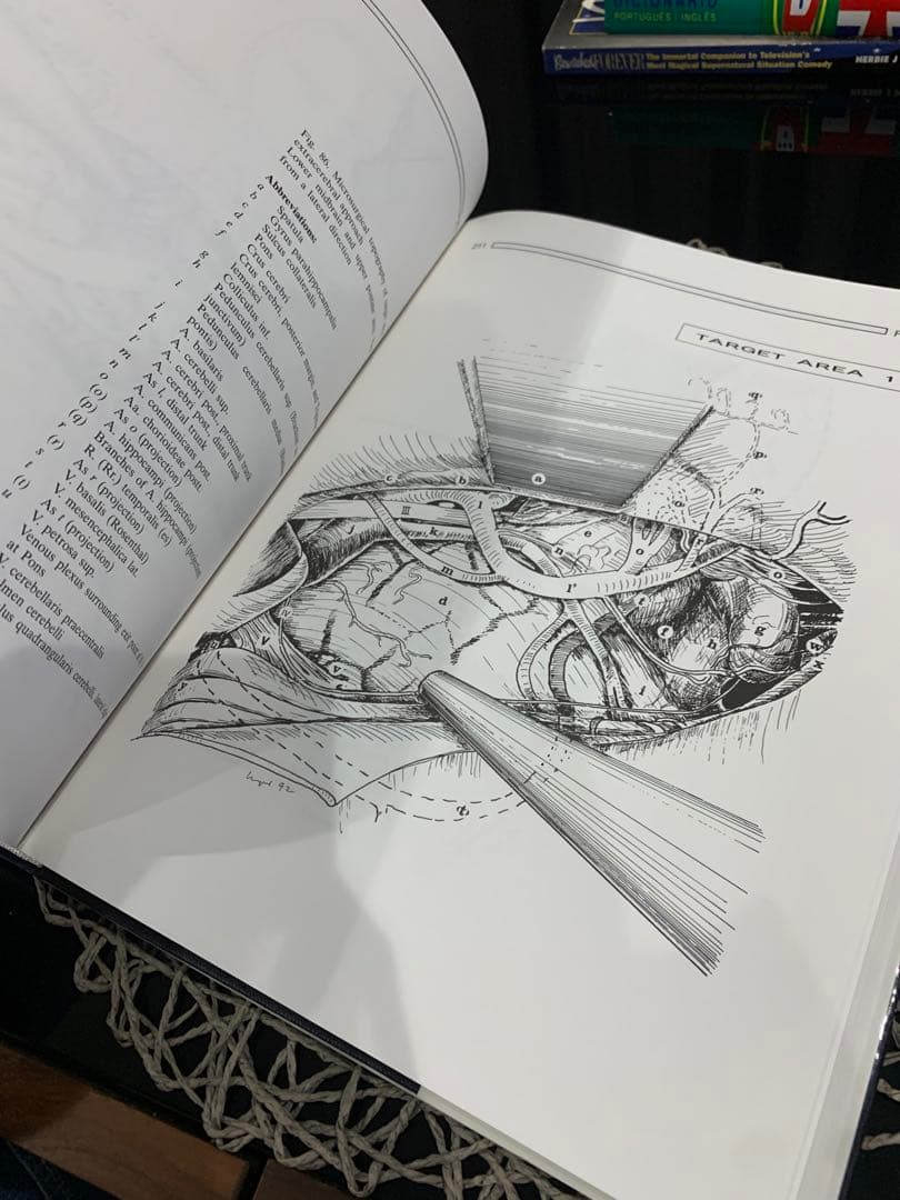 The Microsurgical Approaches…