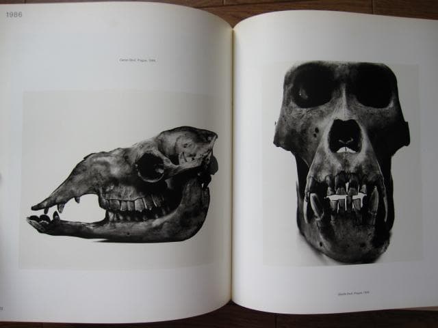 Irving Penn PASSAGE　アーヴィング・ペン　パッセージ　三宅一生