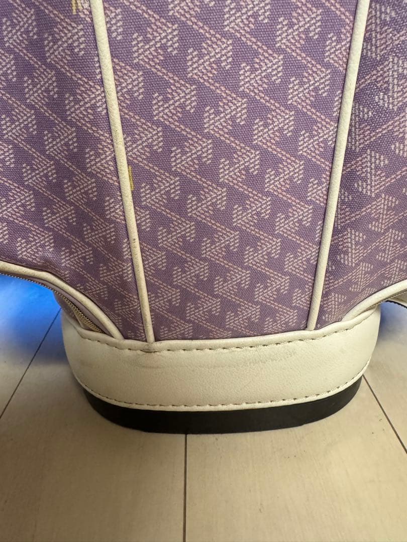 レザレクション　キャディバッグ　おまけ付き