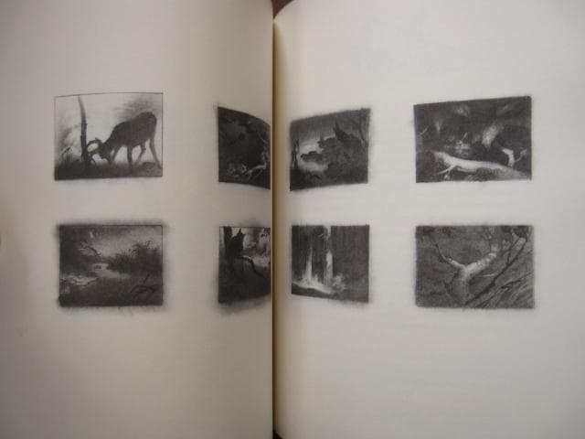 Walt Disney’s Bambi： The Sketchbook　バンビ
