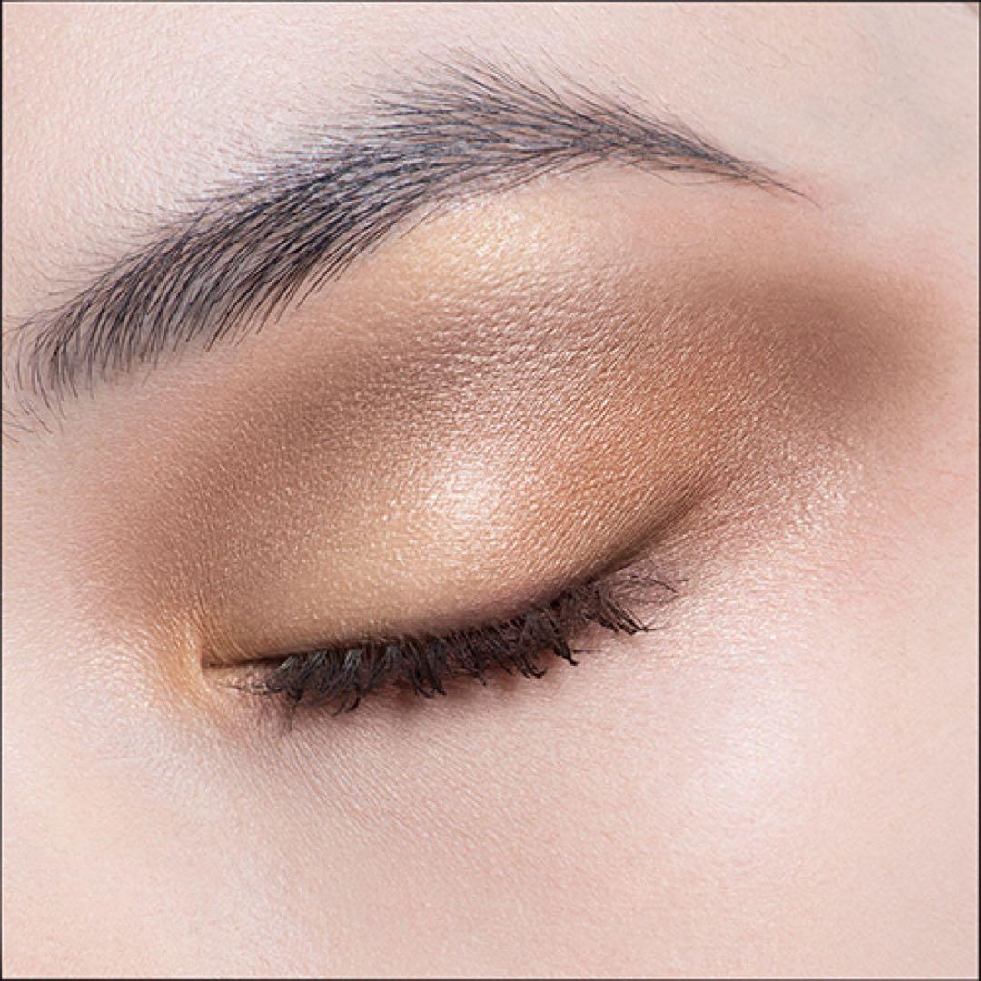 Dior アイシャドウ　ディオールショウ サンク クルール559 ポンチョ