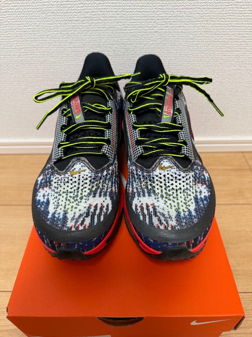 Nike ペガサスプレミアム　25センチ