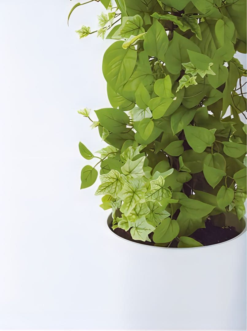 光触媒　人工観葉植物　ウォールグリーン　フェイクグリーン　MIXヘゴライム