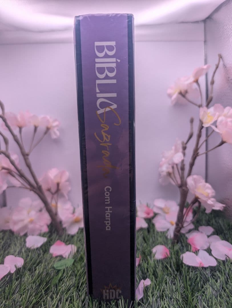 Bíblia Sagrada Português 聖書 Harpa C.