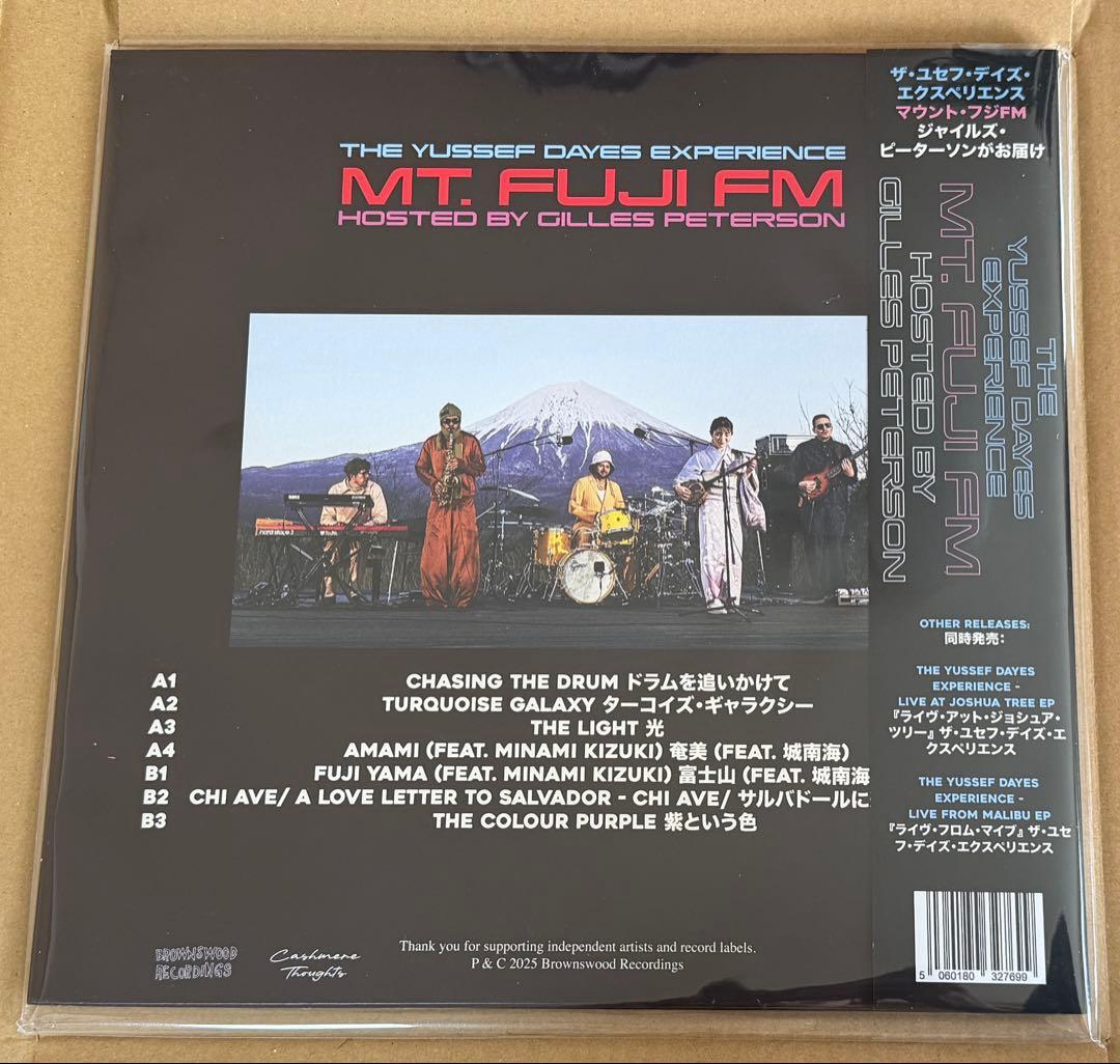 YUSSEF DAYES MOUNT FUJI FM 限定 レコード　LP