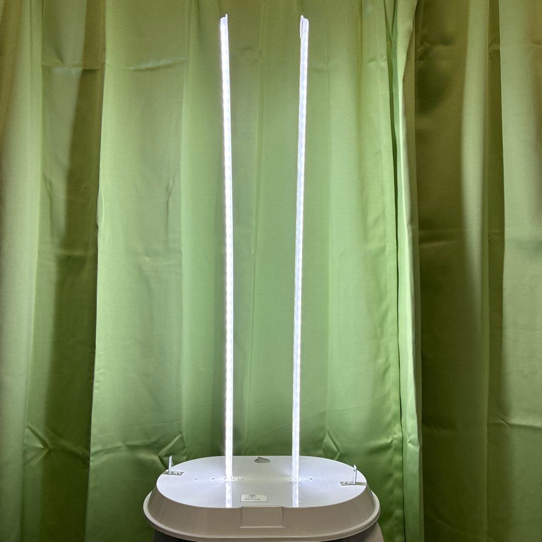 LED内蔵 レディース 光るマネキン 11号相当 ホワイト 撮影