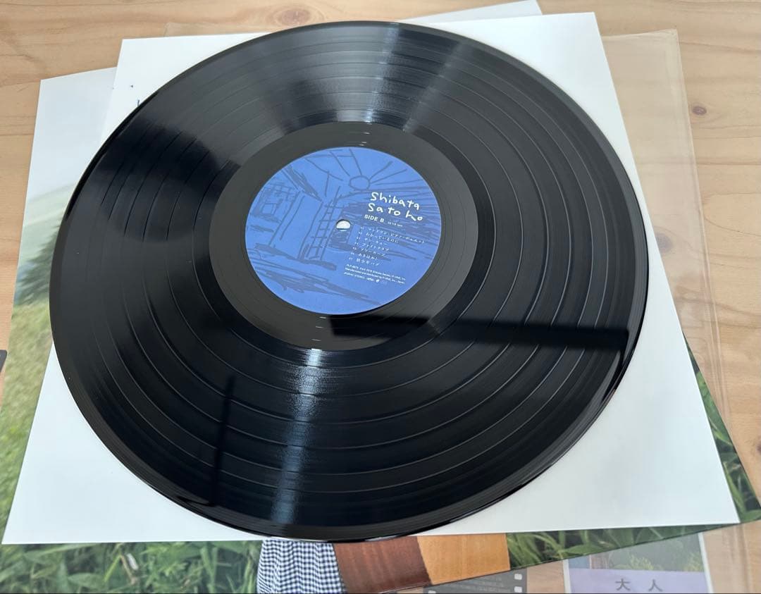 柴田聡子　レコード