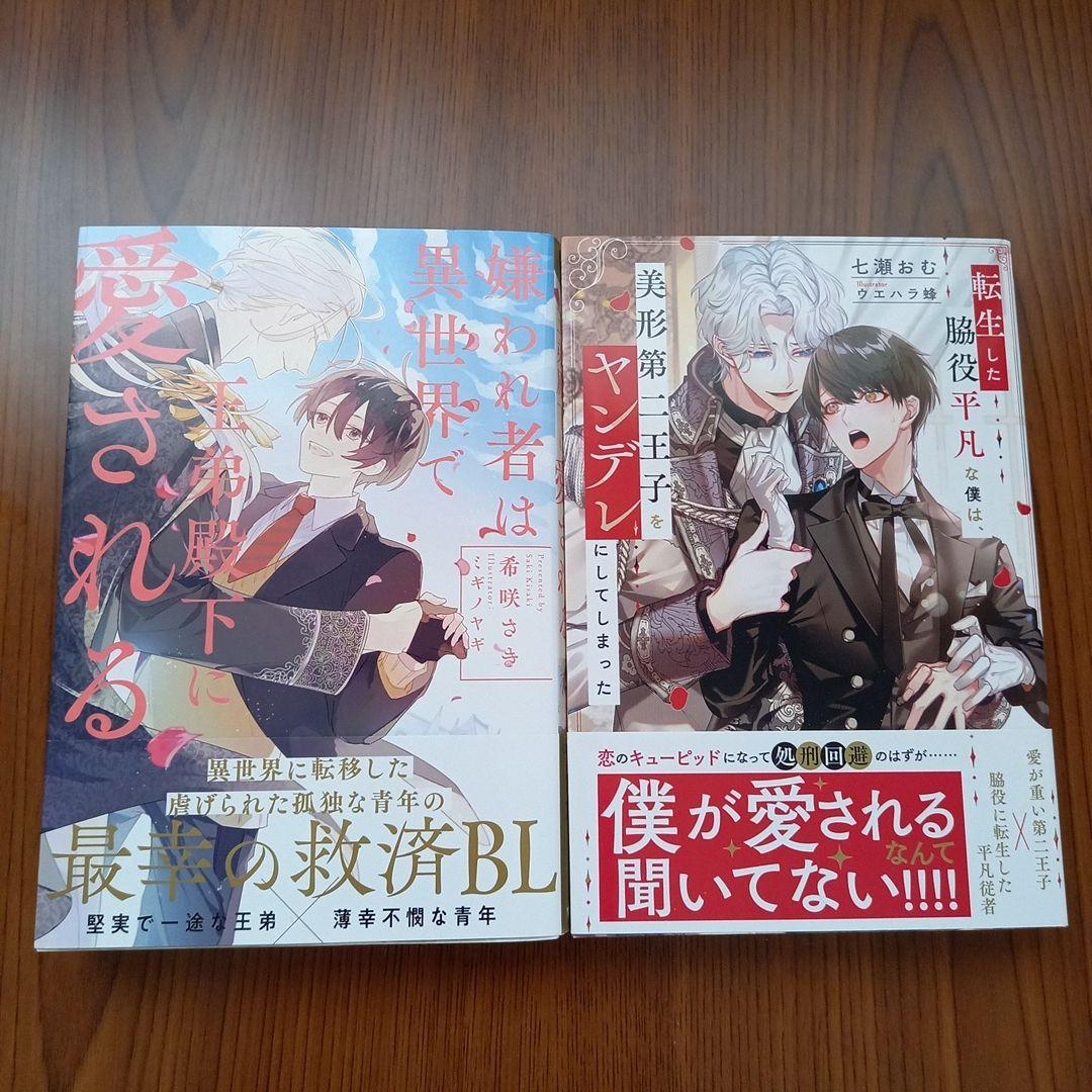 アンダルシュノベルスBLノベルまとめ売り13冊