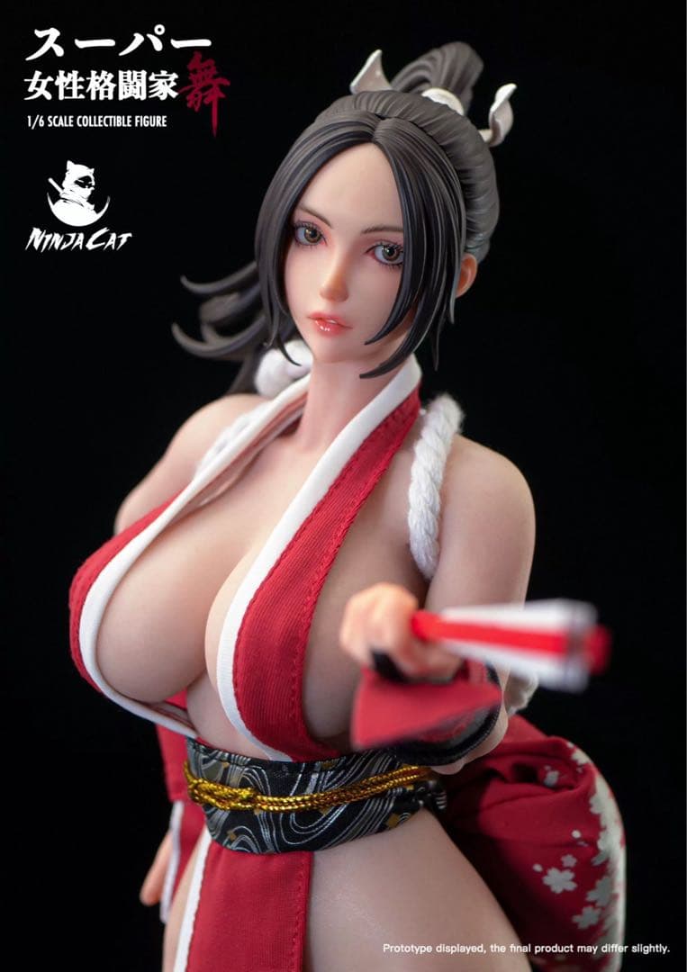 Ninja Cat N001 1/6 不知火舞 ホットトイズ系