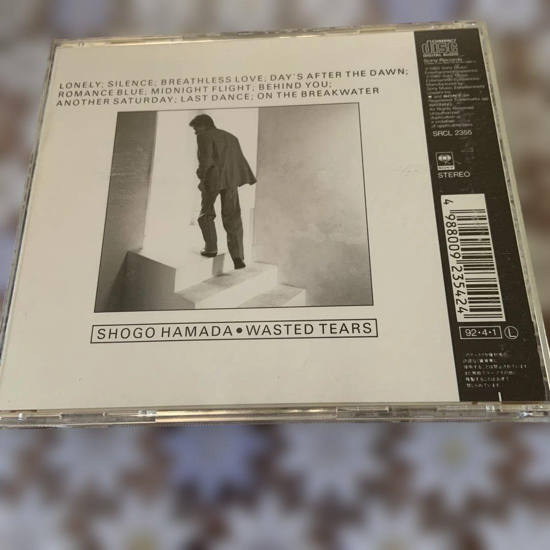 浜田省吾Wasted Tears (Q13 )