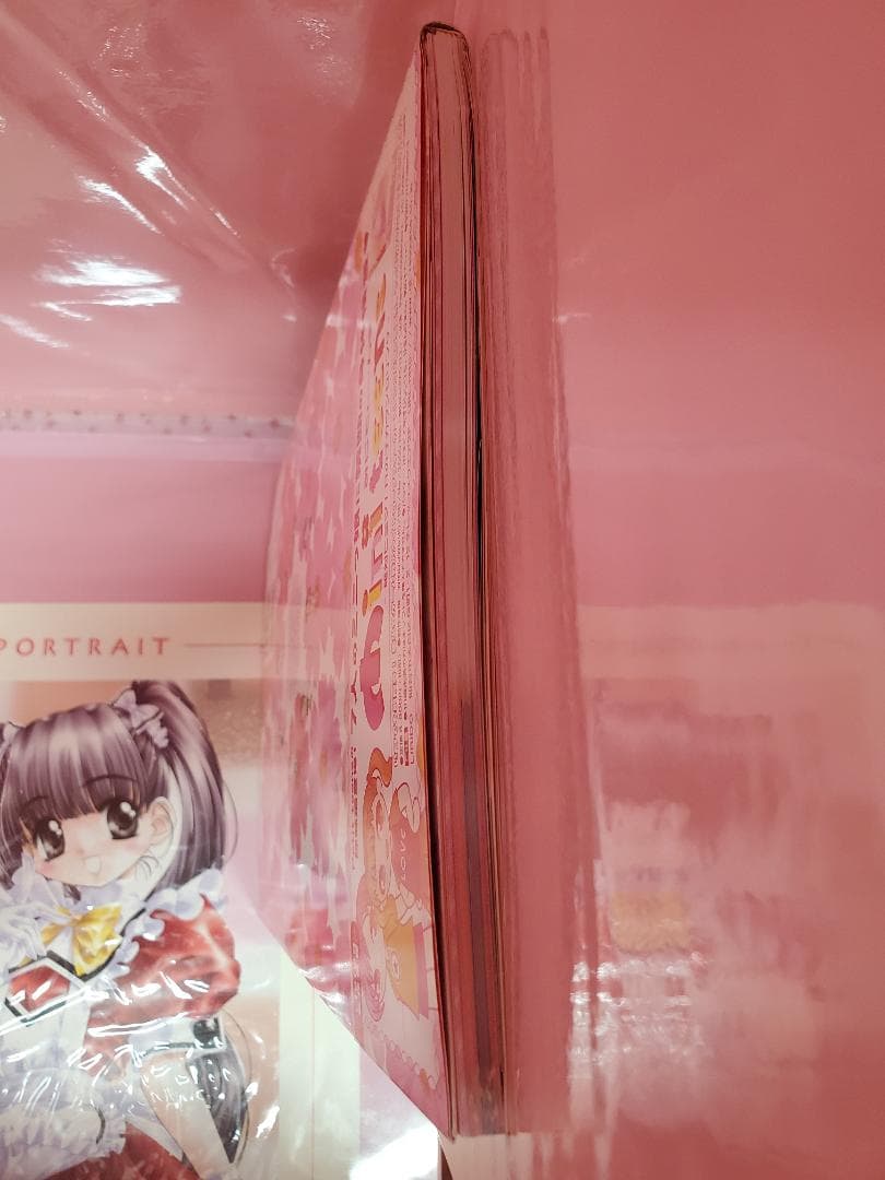 プチティーンズ　CG&原画集