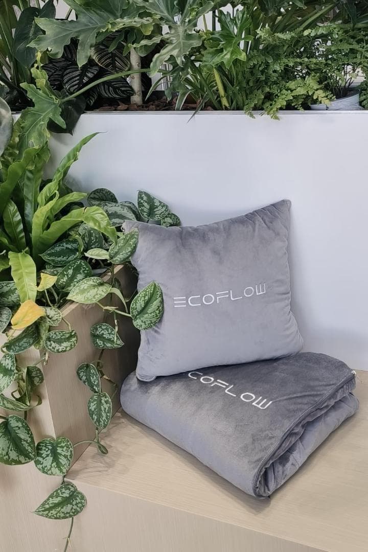新品 EcoFlow 快適な本体クッション 40x40cm 3個セット