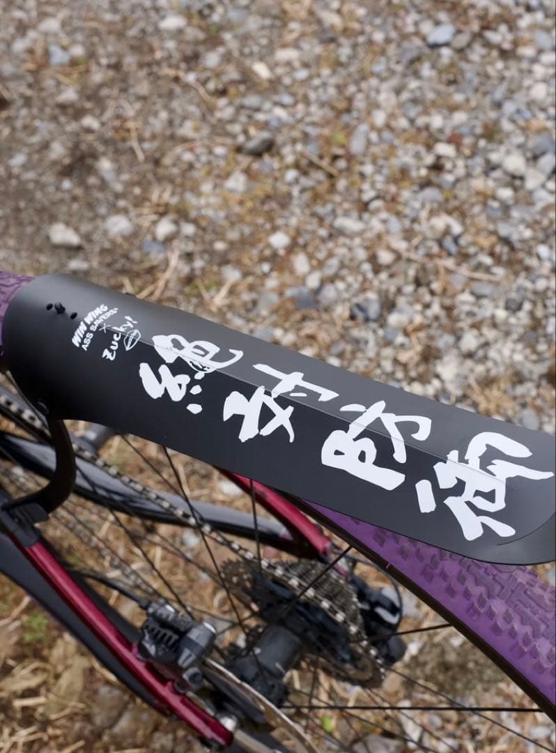 ASS SAVERS WIN WING GRAVEL 絶対防御　zuckyコラボ