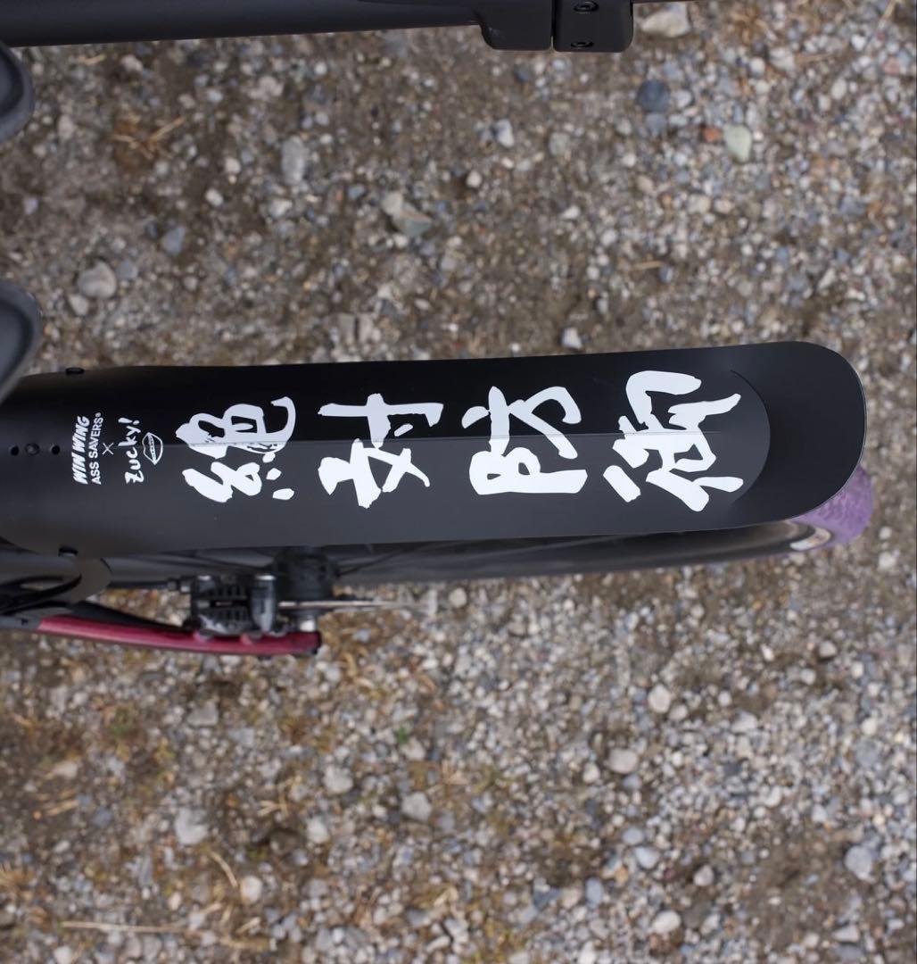 ASS SAVERS WIN WING GRAVEL 絶対防御　zuckyコラボ
