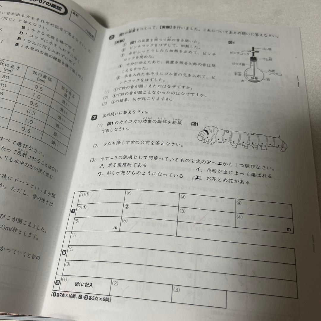㉑ＡA レア書き込みなし　サマーサピックス　SAPIX 5年　理科　テキスト