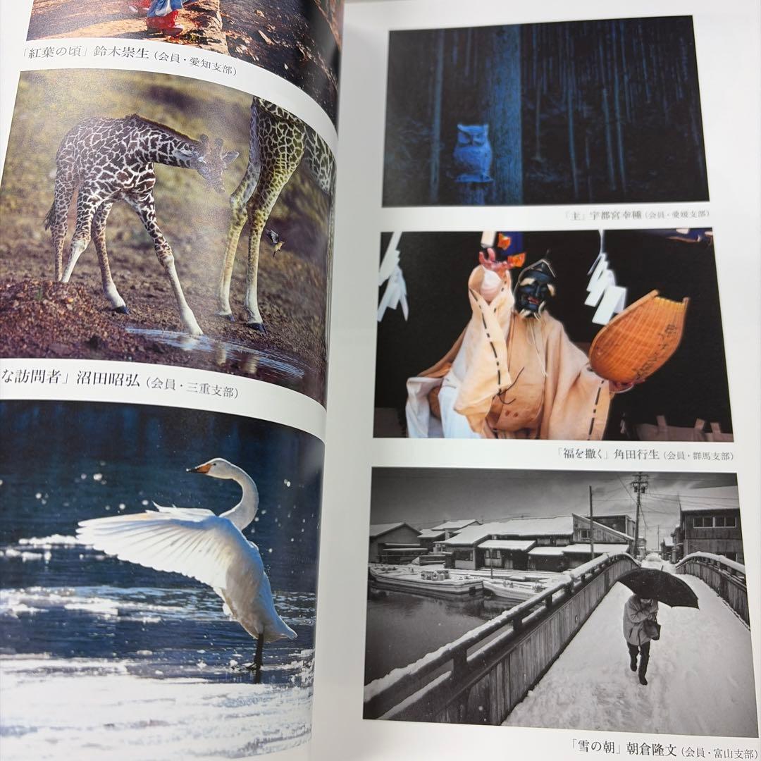 第73回展 二科会写真部作品集2025 NIKA