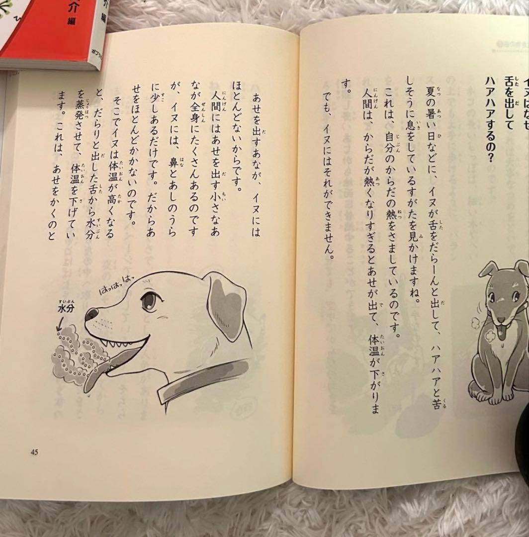 美品⭐︎おまとめ24冊/中学年向き/人気シリーズミルキー名探偵/くもん推薦図書含む