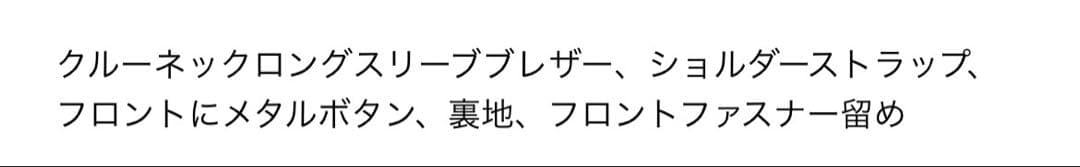 完売品 ZARA ストライプ柄フィットブレザー Sサイズ新品タグ付き