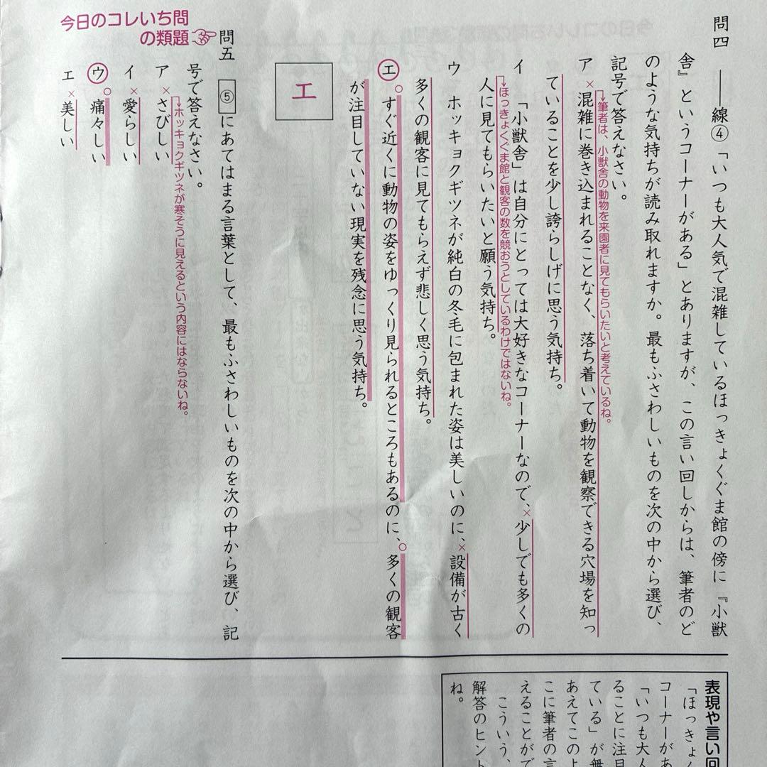 SAPIXデイリーサピックス国語5年生　フルセット　2025年最新版