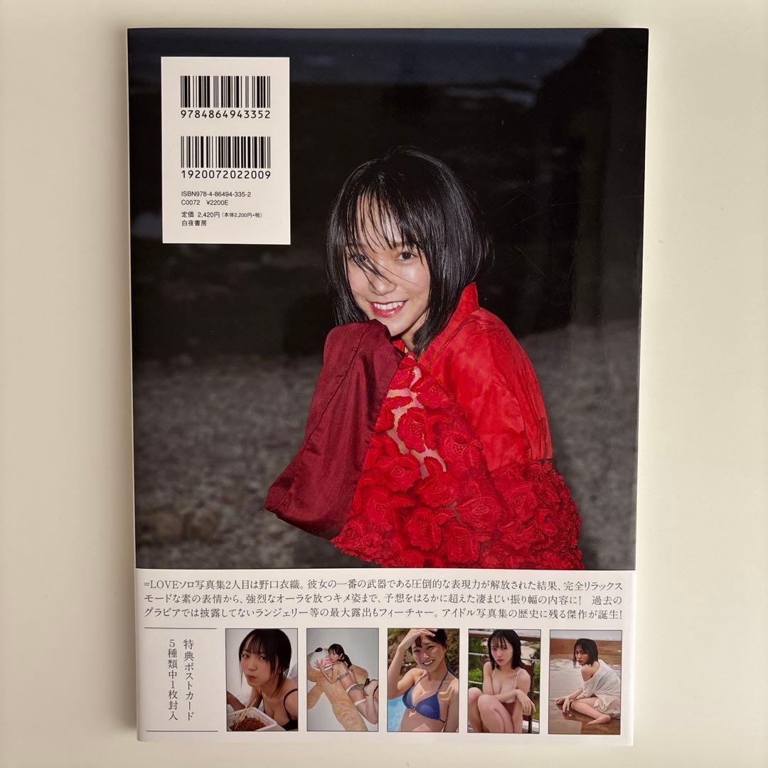 【美品】君にしか教えない 野口衣織ファースト写真集