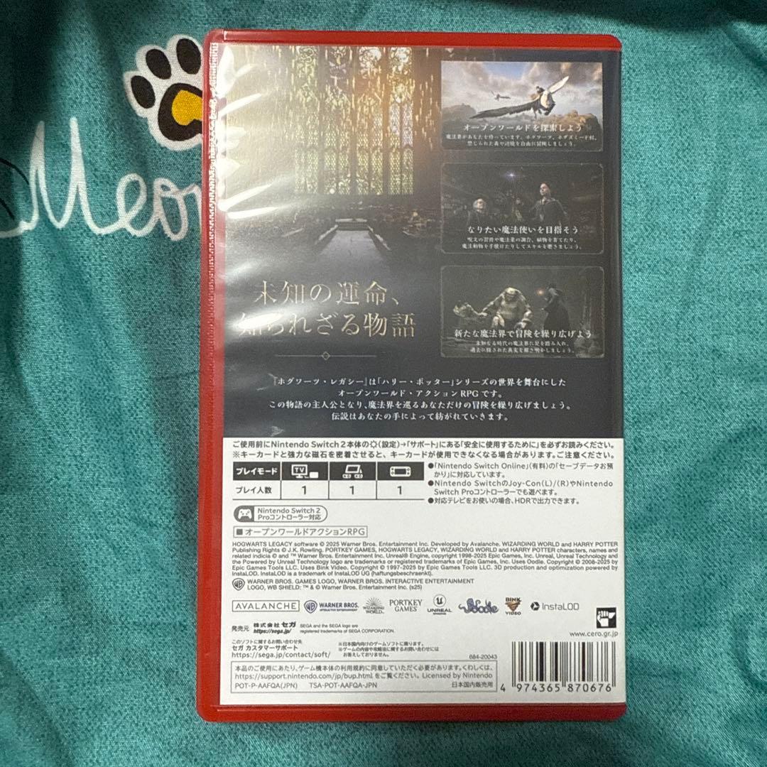 Nintendo Switch Hogwarts Legacy Nintendo Switch2
