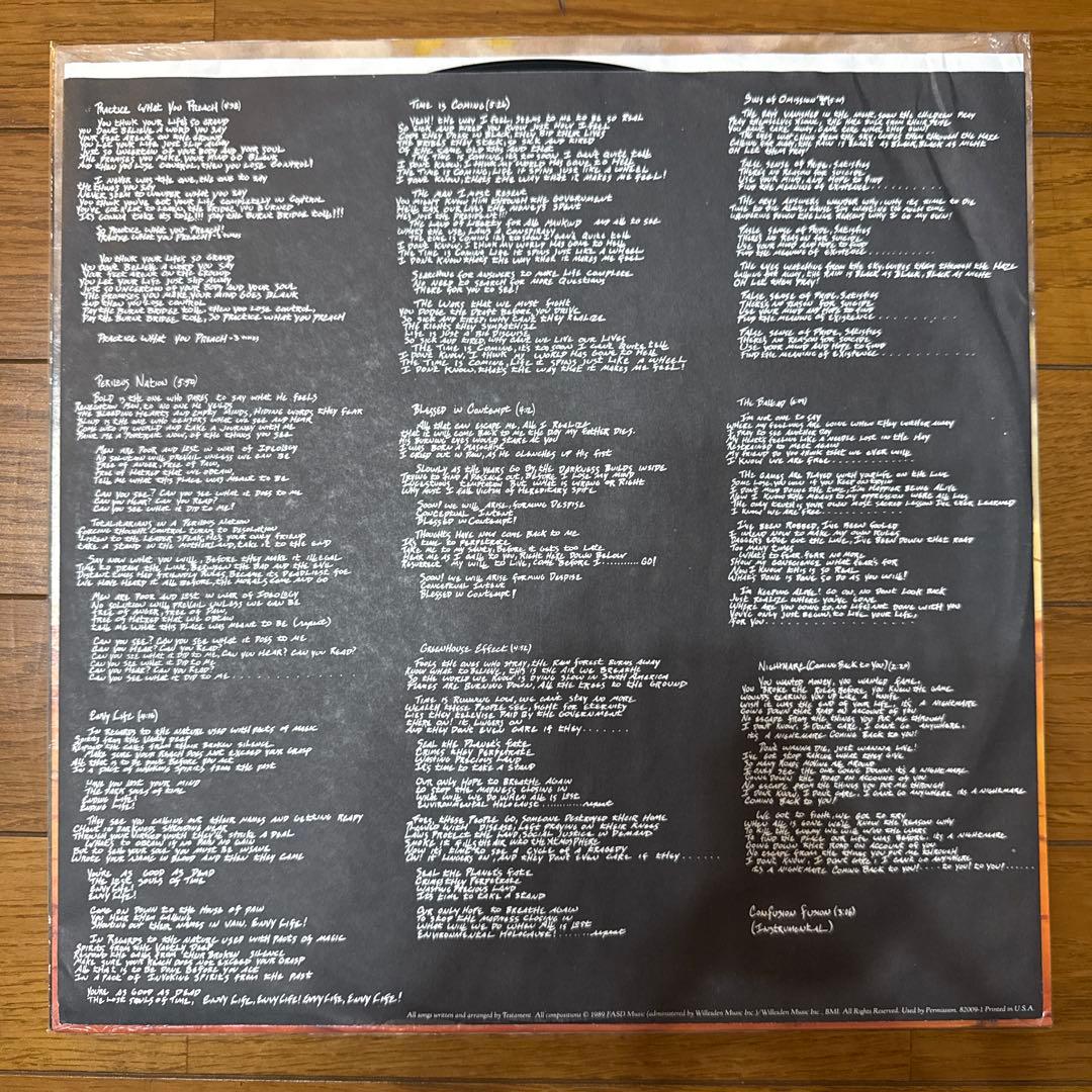 激レア TESTAMENT PRACTICE WHAT YOU〜 レコード LP