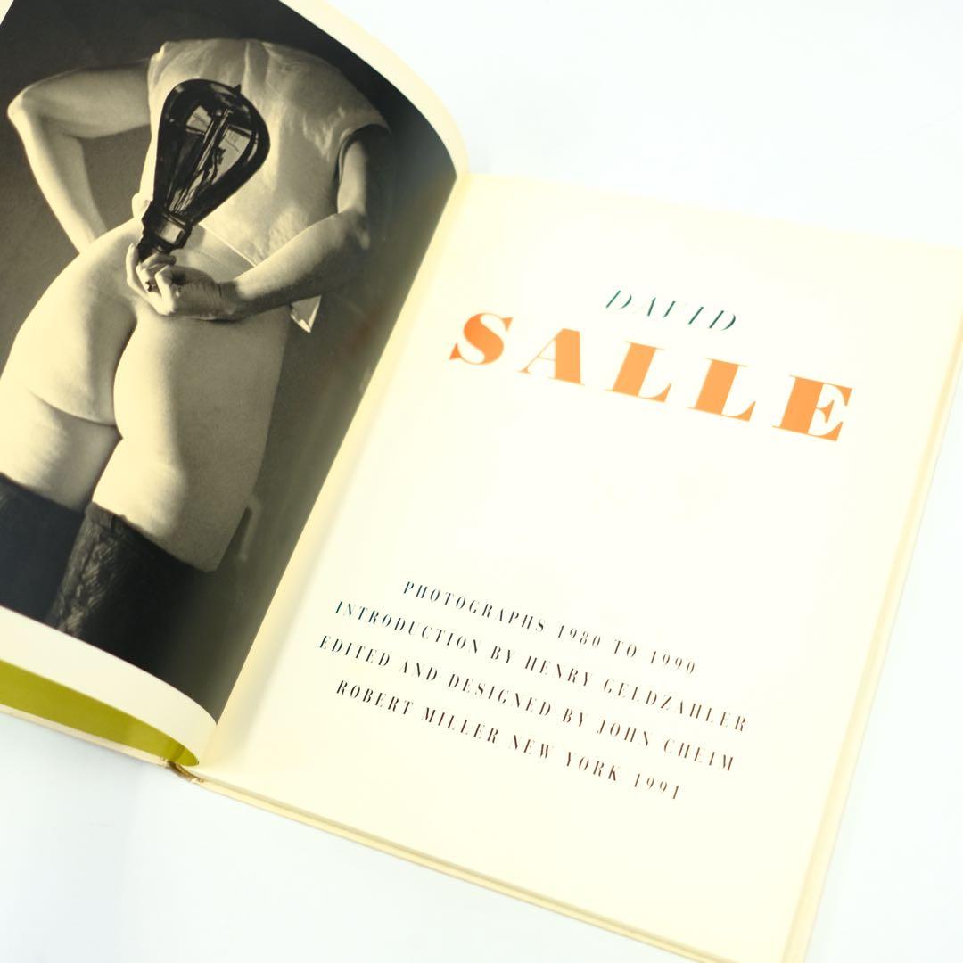 DAVID SALLE PHOTOGRAPHS デヴィッド・サーレ　写真集　洋書