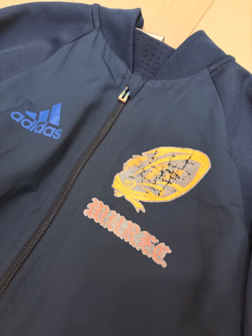 早稲田大学ラグビー部adidasジャケット M ネイビー