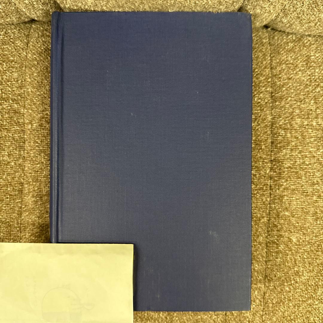 洋書 The Rediscovery of American Literature