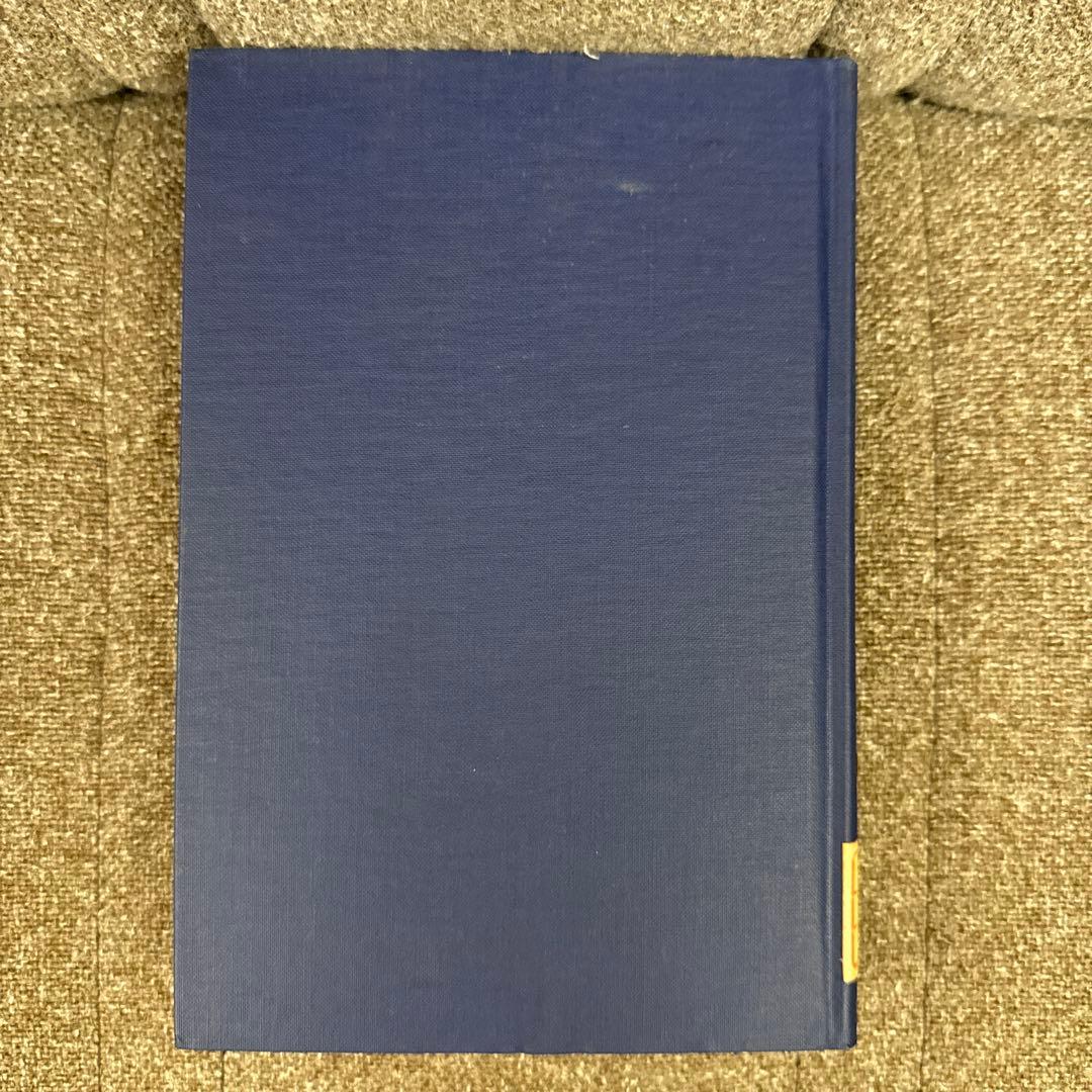 洋書 The Rediscovery of American Literature