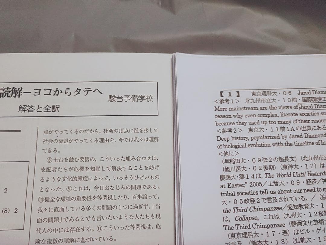 駿台　英文読解－ヨコからタテヘ　大島先生　プリント問題全セット　鉄緑会　河合塾