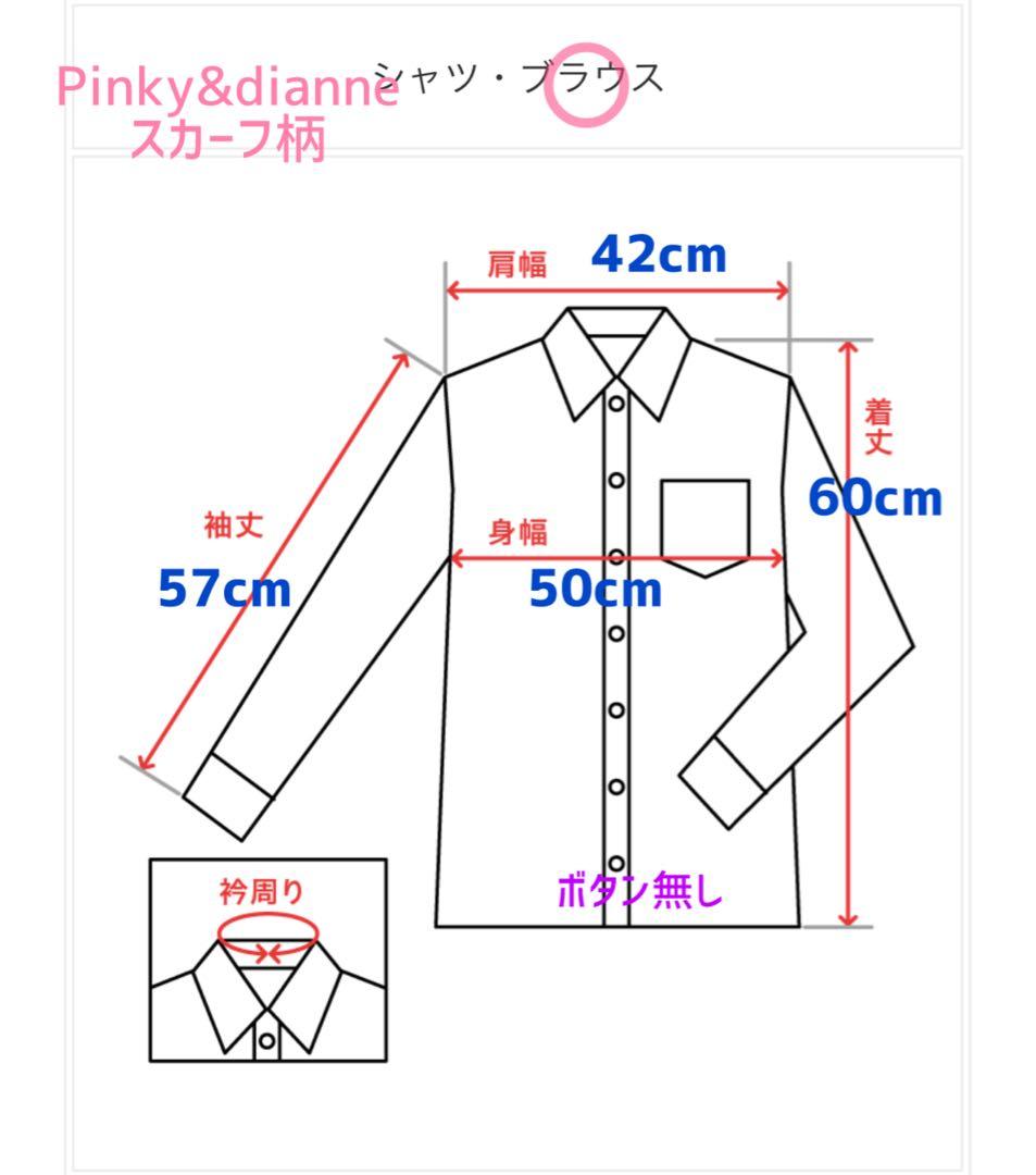 ピンキーアンドダイアン チェーンベルトプリントVネックブラウス スカーフ柄