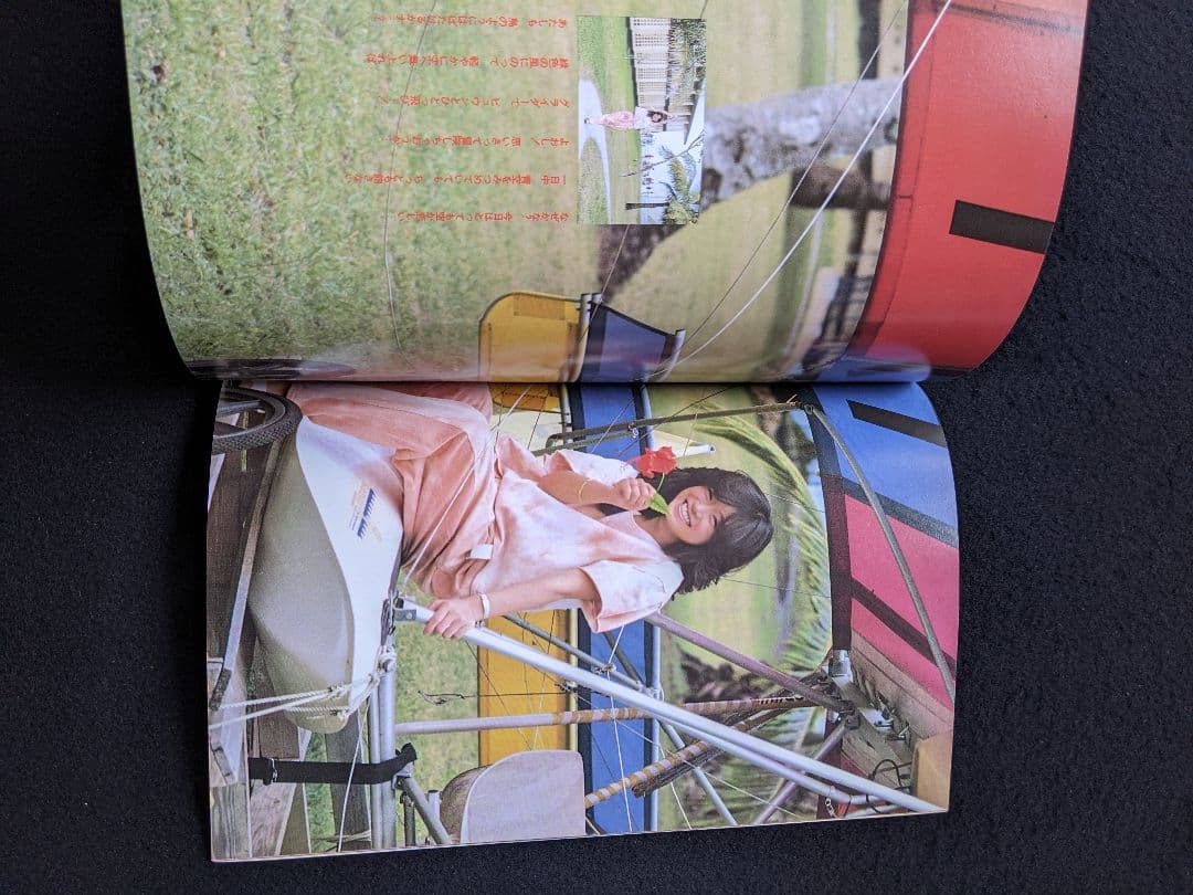 エンドレスサマー　岡田有希子　松田聖子　河合奈保子　中森明菜　荻野目洋子　写真集