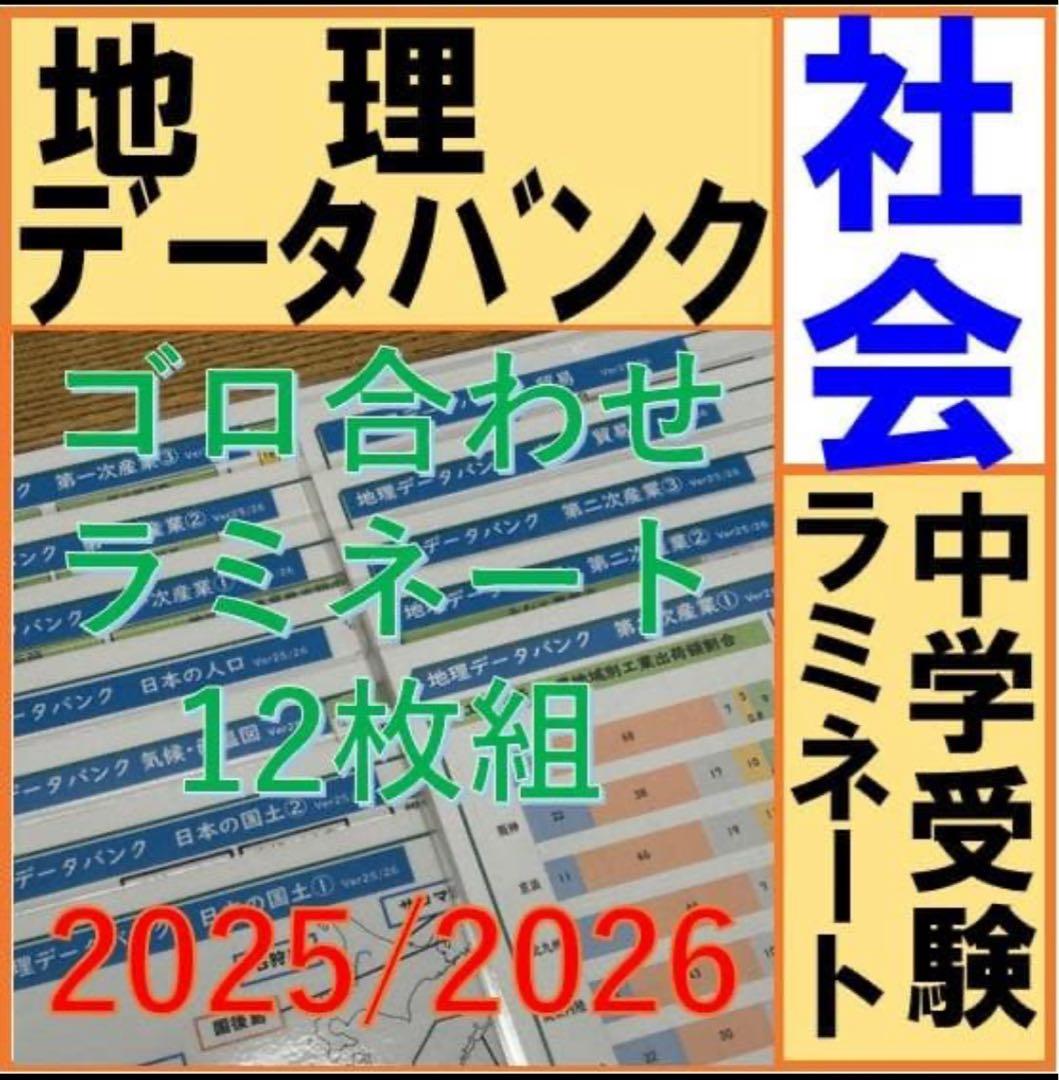 にっしー様 リクエスト 9点 まとめ商品　3分の①