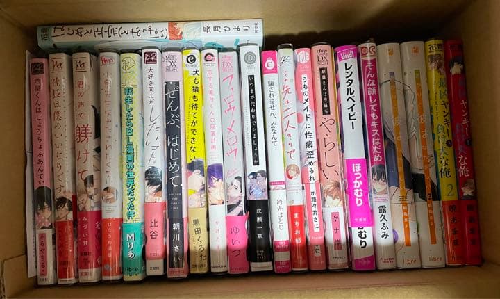 BLコミック BL漫画 まとめ売り バラ売り