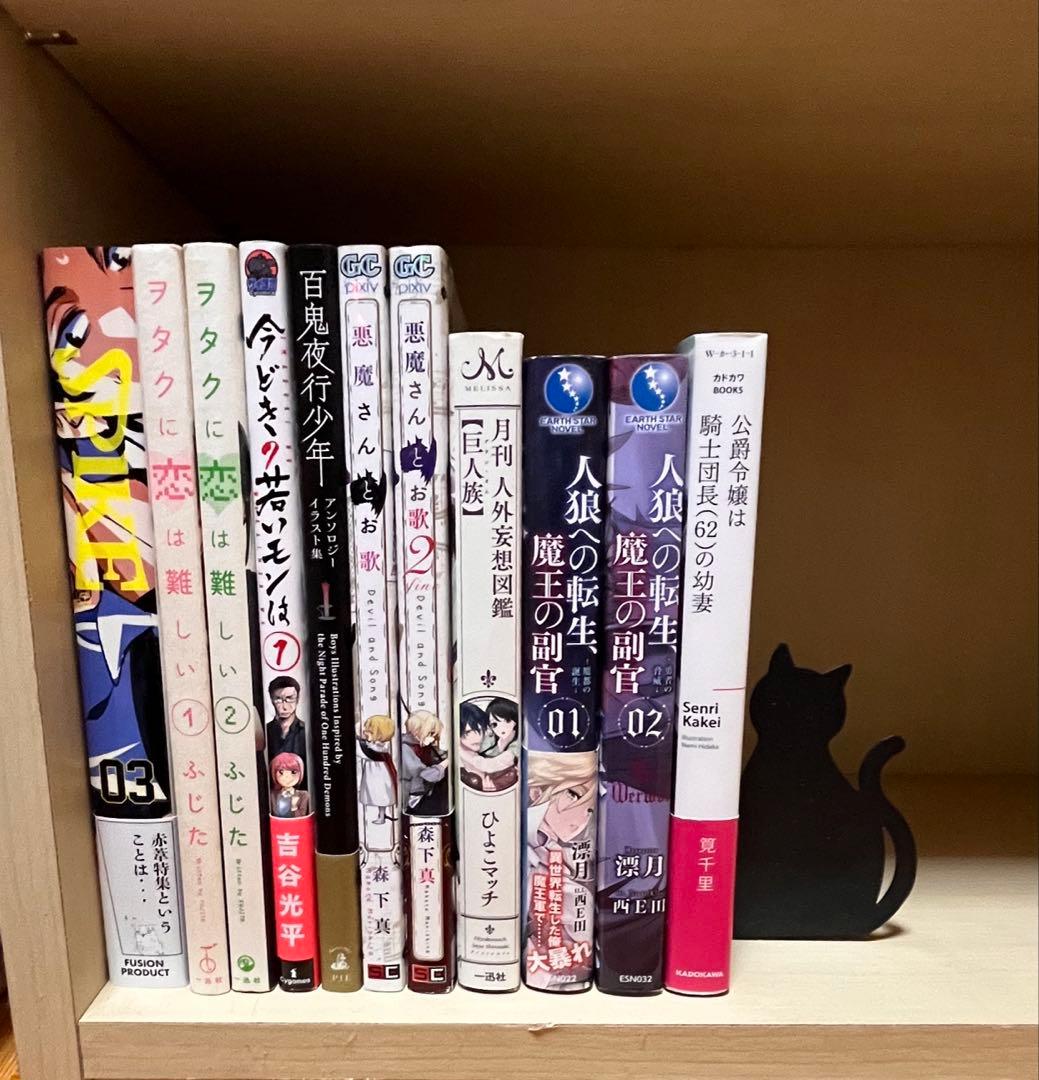 少年 少女 BL漫画 小説 まとめ売り