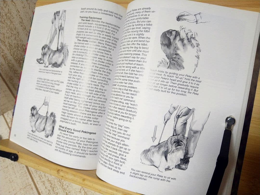 ペキニーズ書籍4冊セット 本 洋書 写真 pekingese PEKINGESE
