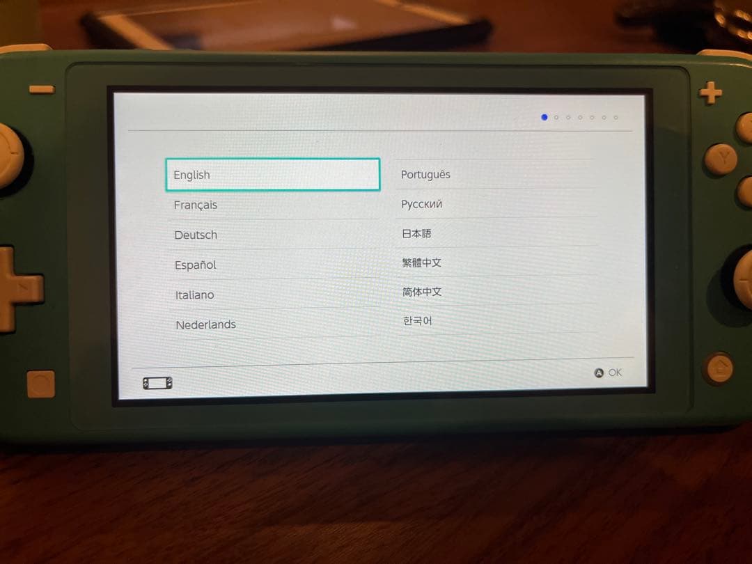 Nintendo Switch Lite 充電ケーブル・ケース付き