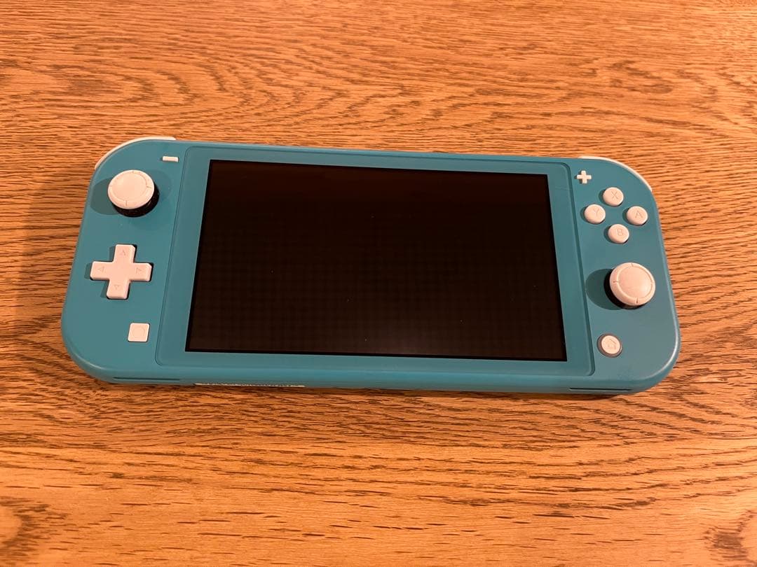 Nintendo Switch Lite 充電ケーブル・ケース付き