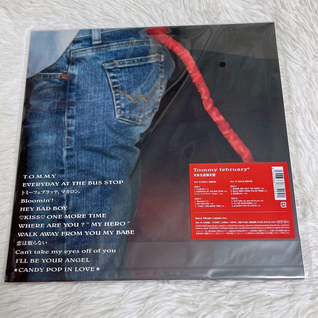 ラスト1点　 february6 完全生産限定盤　アナログ盤