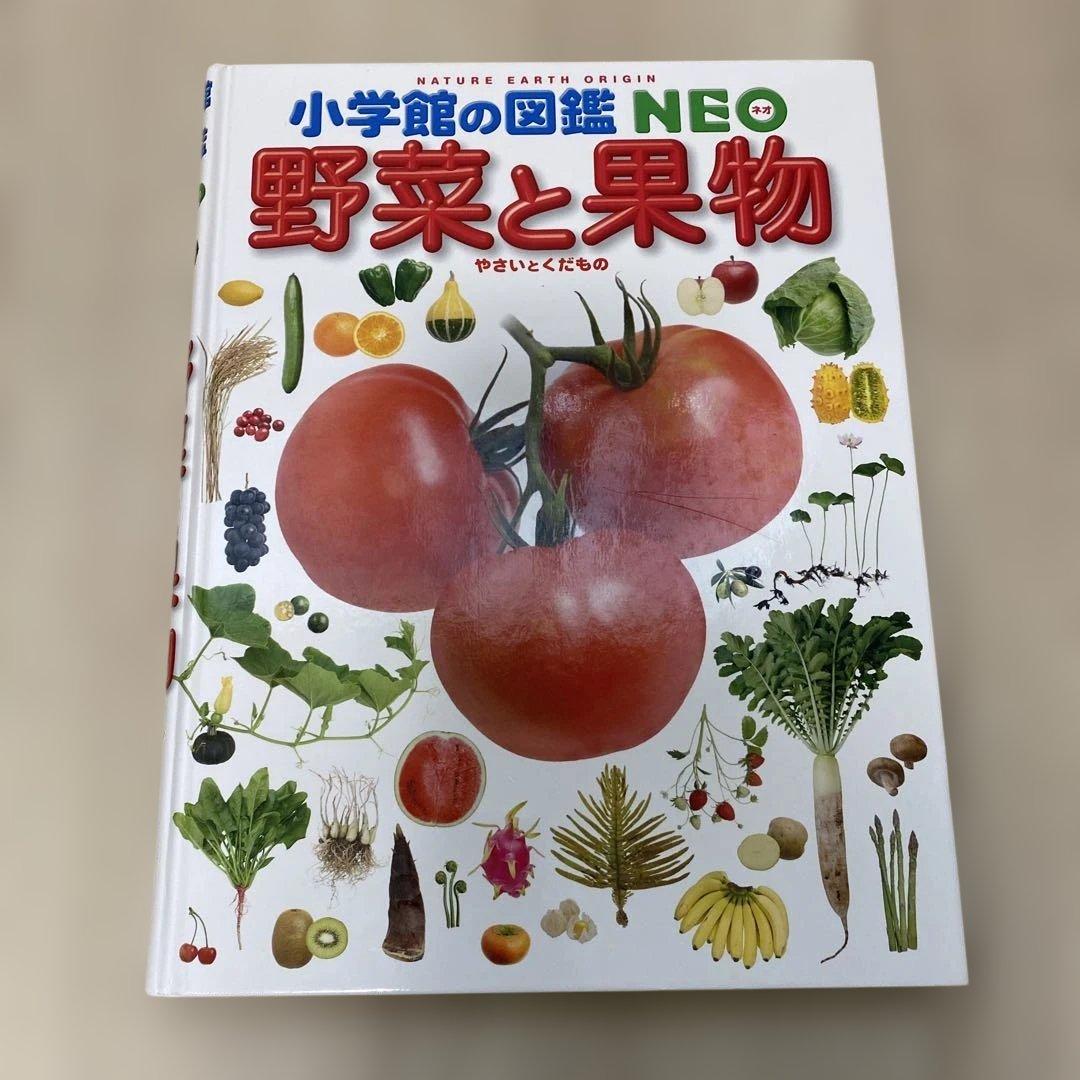 図鑑 小学館の図鑑NEO DVD付 学研 ライブ DK
