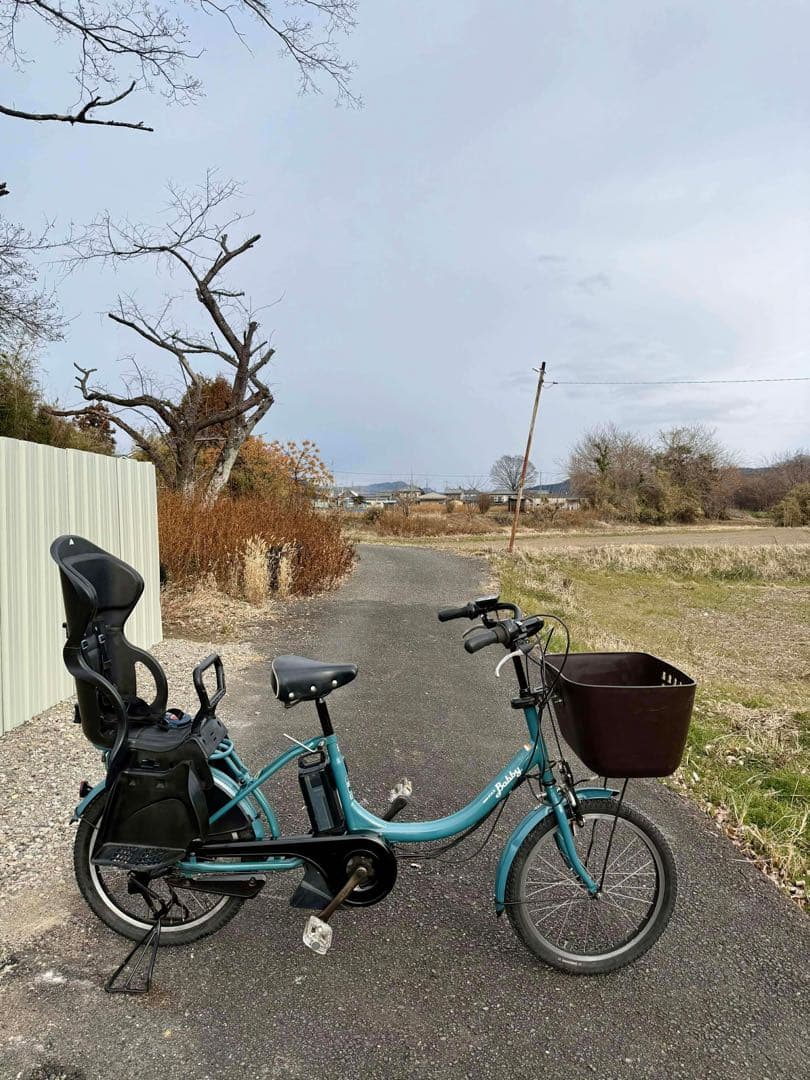 Babby 電動アシスト自転車 チャイルドシート付き
